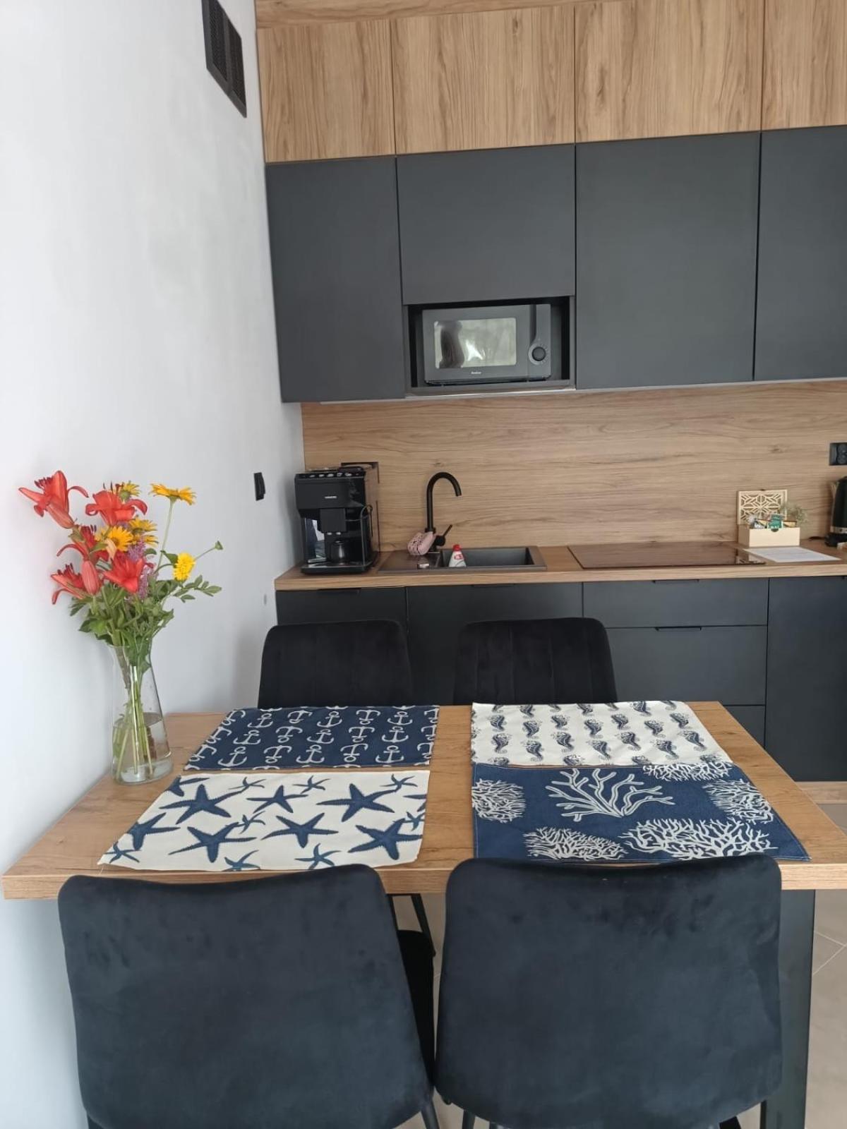 Twoja Przystan Slawa- Przy Plazy Apartment Slawa